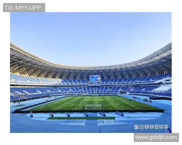 足球场上的璀璨明星他们的传奇故事与不凡成就让我们一起见证辉煌瞬间