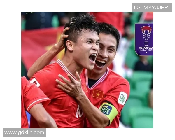 越南血统足球明星及其成就全面解析与介绍